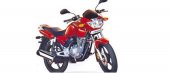 2010 TVS Apache 150 photo